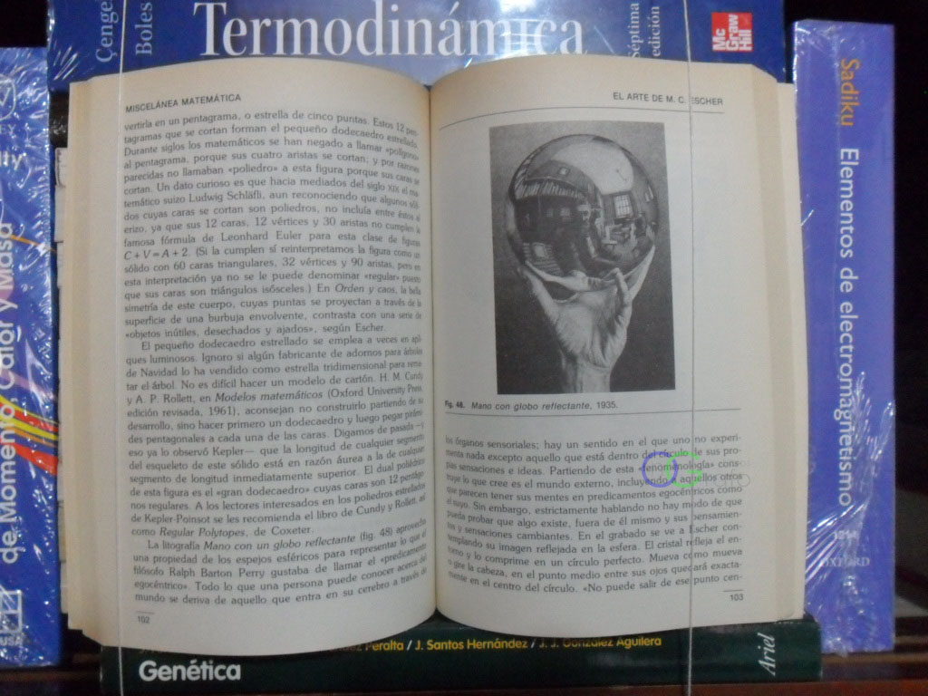 FOTO LIBRO
